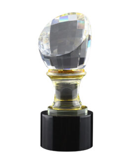 Crystal Glass Trophy in Wooden Box