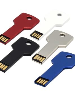 Key Shaped USB Flash Drives