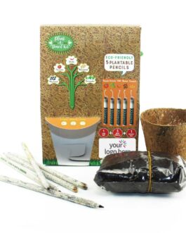 Plant A Pencil Kit