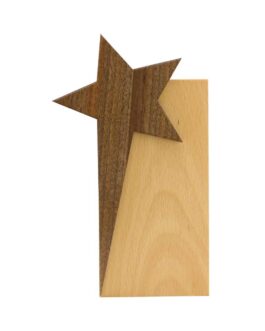 Star Design Wooden Trophy Award with Gift Box