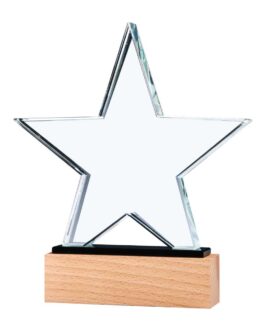 Star Shaped Crystal Awards with Wooden Base