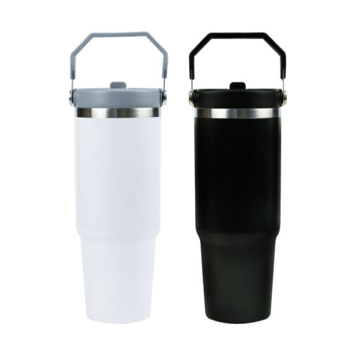 Tumbler with Handle & Straw SS Double Wall 900ml