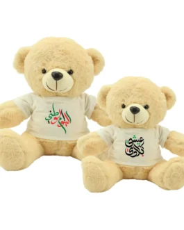 UAE Day Teddy Bear Toys with Printable White Tshirt