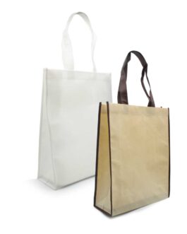 Vertical Non-woven Bags