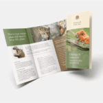 Brochure Real Size (Glossy Paper 115gsm)