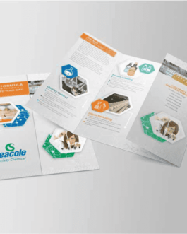 Brochure Real Size (Woodfree Paper 100gsm)