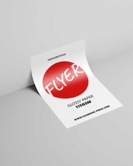 Flyer Economy (Glossy paper 115gsm)