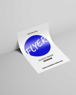 Flyer Economy (Glossy paper 135gsm)