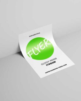 Flyer Economy (Glossy paper 170gsm)