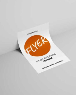 Flyer Economy (Wood Free paper 100gsm)