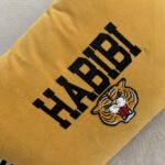 Habibi-Embroidery-qaw6ek5rl42ix9i2tfjkvg4h5j4zk40voe2cryea5w